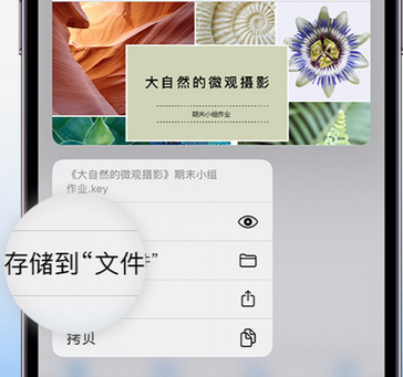 湾里apple维修中心分享iPhone文件应用中存储和找到下载文件