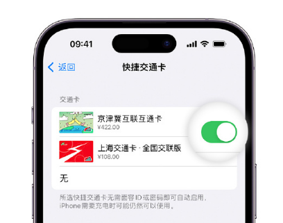 湾里apple维修点分享iPhone上更换Apple Pay快捷交通卡手绘卡面 