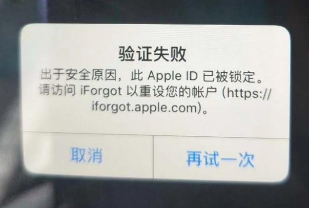 湾里iPhone维修分享iPhone上正常登录或使用AppleID怎么办 