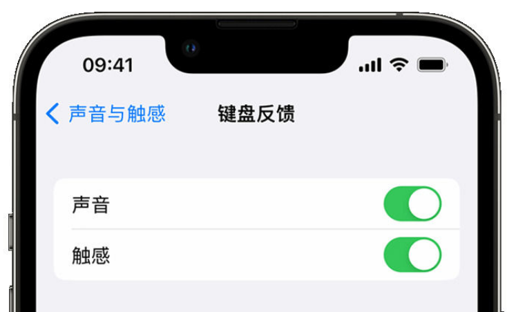 湾里苹果手机维修分享iPhone 14触感键盘使用方法 