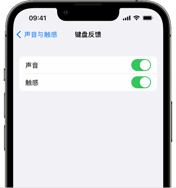 湾里苹果14维修店分享如何在 iPhone 14 机型中使用触感键盘 