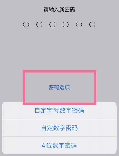 湾里苹果14维修分享iPhone 14plus设置密码的方法 