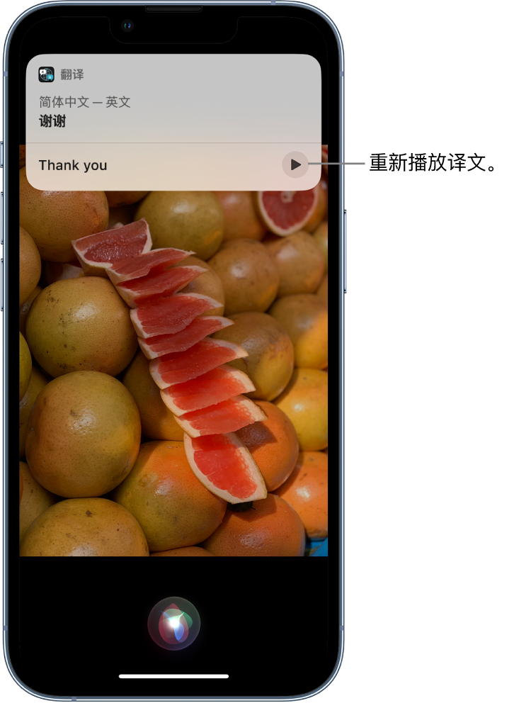 湾里苹果14维修分享 iPhone 14 机型中使用 Siri：了解 Siri 能帮你做什么 