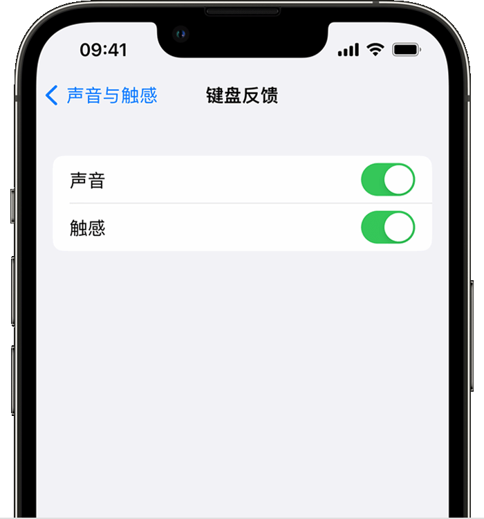 湾里苹果14维修分享iPhone 14 系列机型如何开启键盘声音或触感反馈 