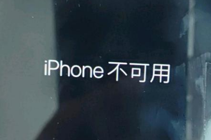 湾里苹果服务网点分享锁屏界面显示“iPhone 不可用”如何解决 