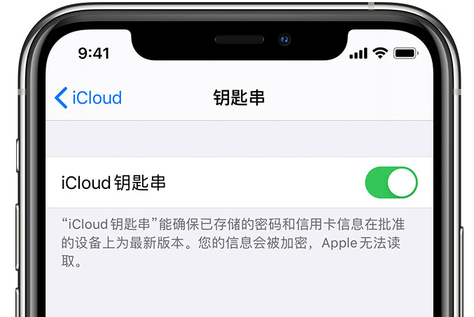 湾里苹果手机维修分享在 iPhone 上开启 iCloud 钥匙串之后会储存哪些信息 