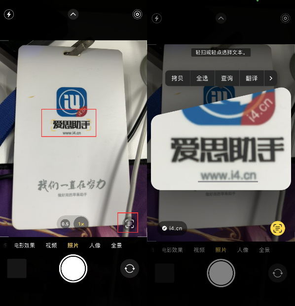 湾里苹果手机维修分享升级iOS 16后如何通过相机翻译文本 