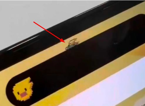 湾里苹果14维修分享iPhone 14 Pro Max灵动岛怎么养宠物 