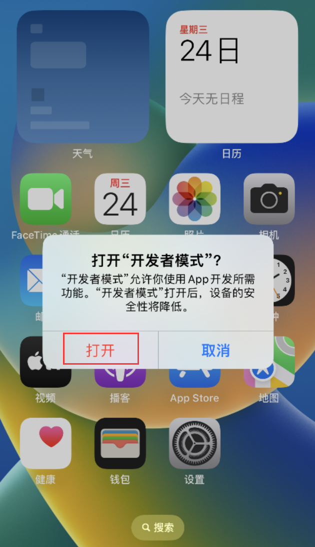 湾里苹果手机维修分享如何打开开发者模式 