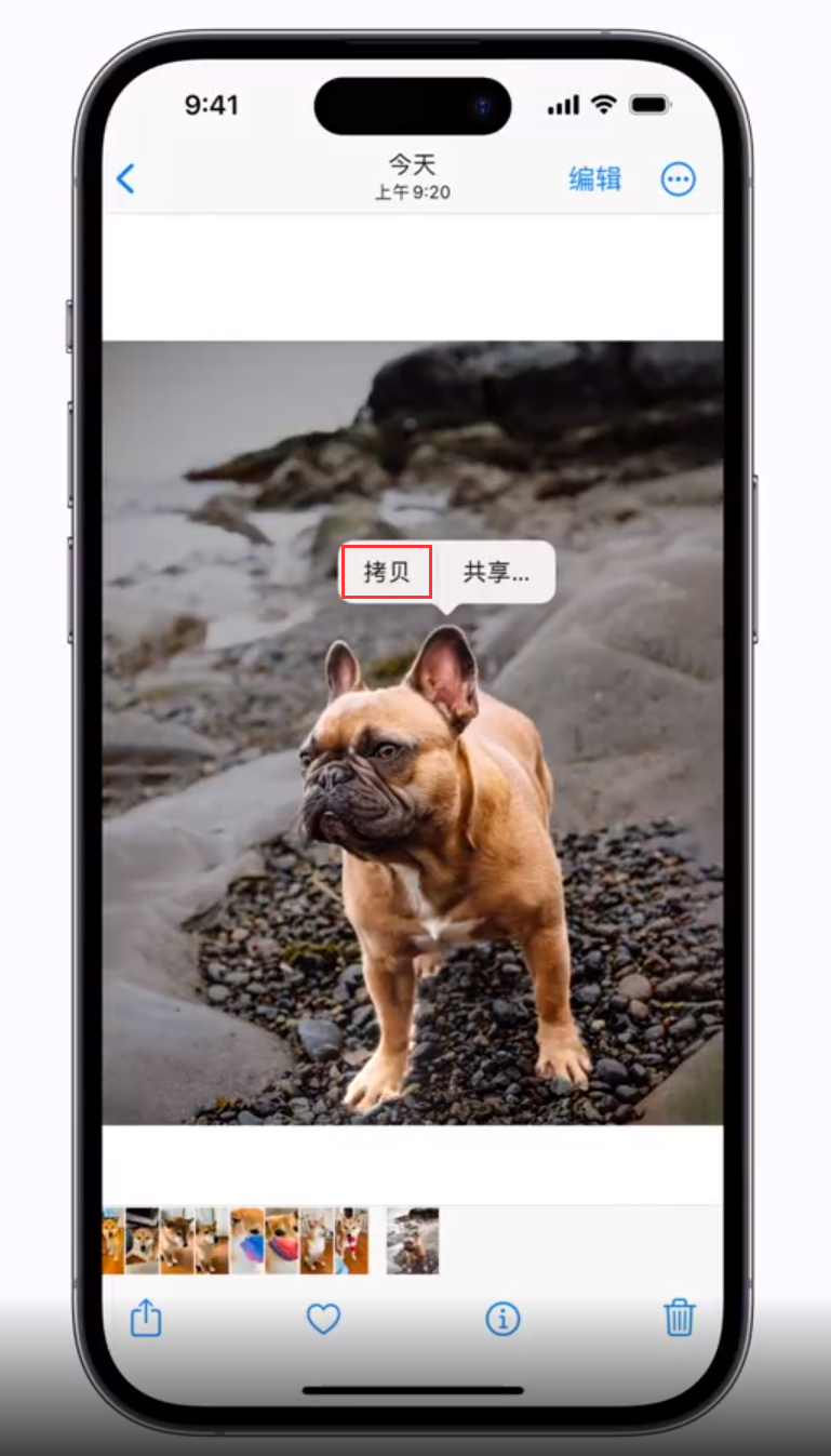 湾里苹果手机维修分享 iOS 16 自带一键抠图功能 