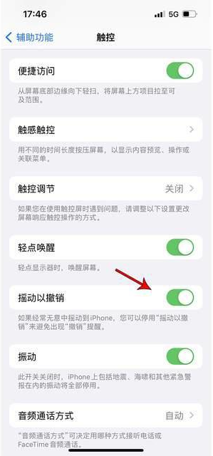 湾里苹果手机维修分享iPhone手机如何设置摇一摇删除文字 