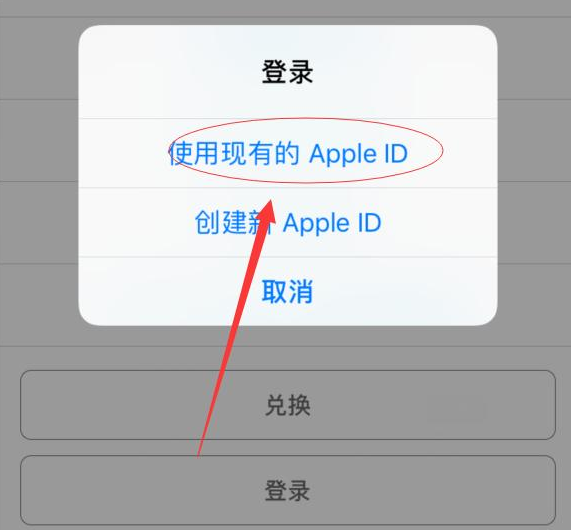 湾里苹果手机维修分享两台iPhone设备可以同时登录一个Apple ID吗 