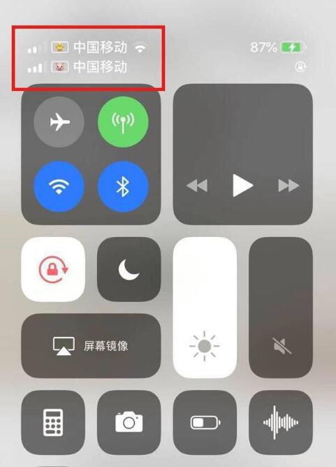 湾里苹果手机维修分享为 iPhone 12 双卡设置标签 